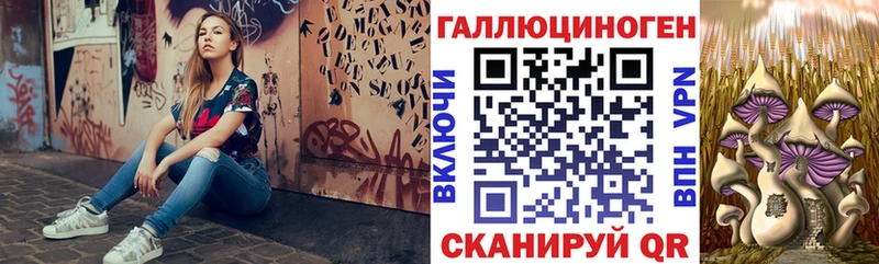 Псилоцибиновые грибы Cubensis  Энгельс 