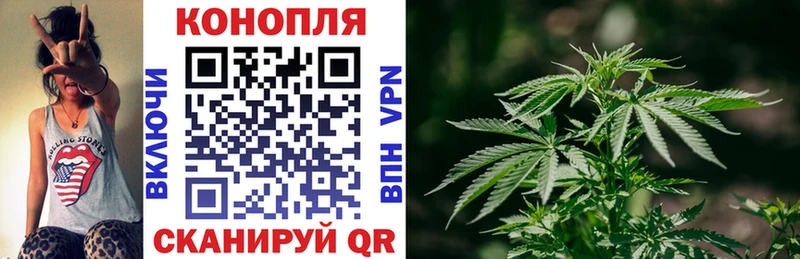 как найти закладки  Энгельс  Шишки марихуана индика 
